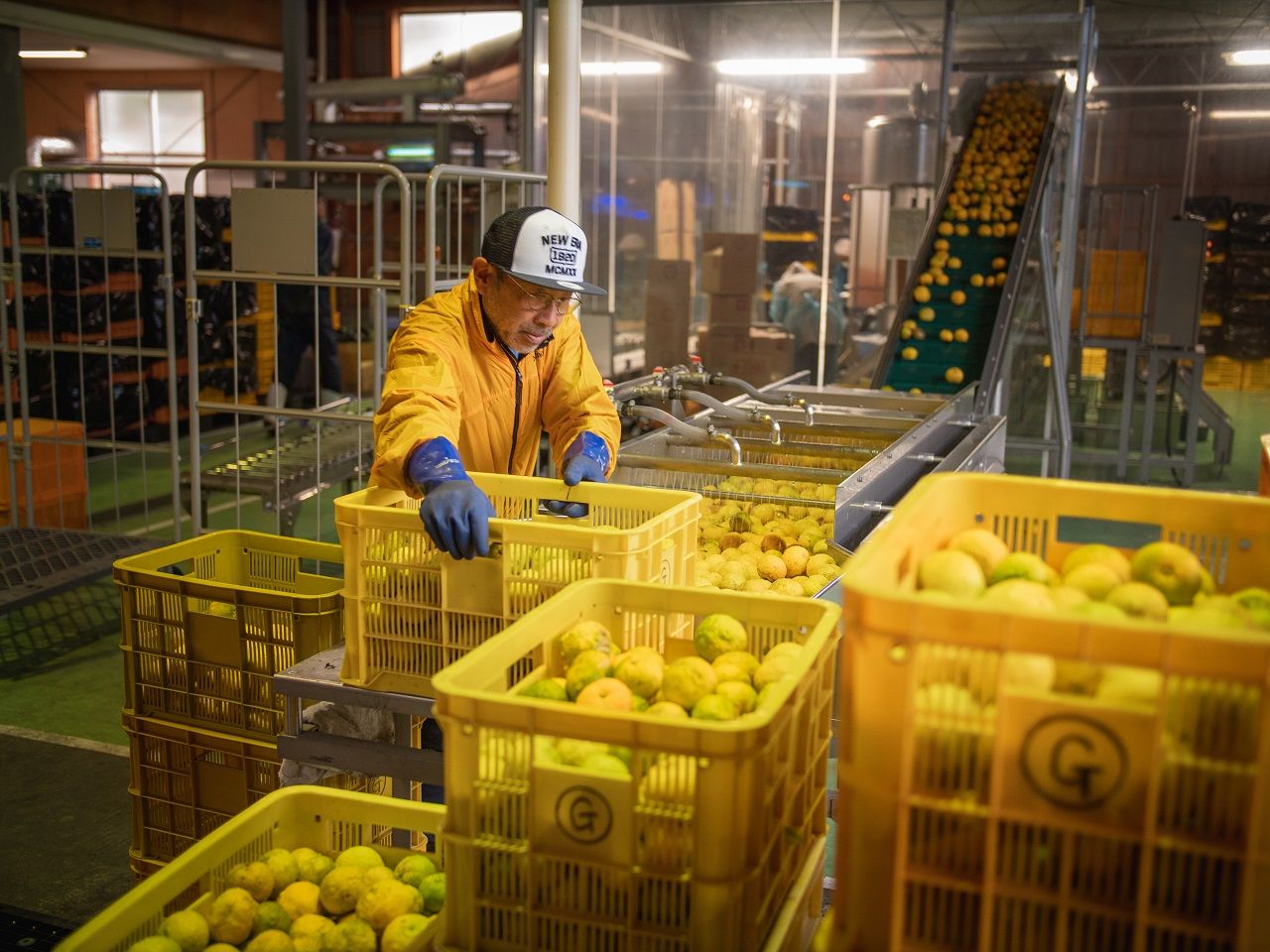 ภาพ Cheers Selection