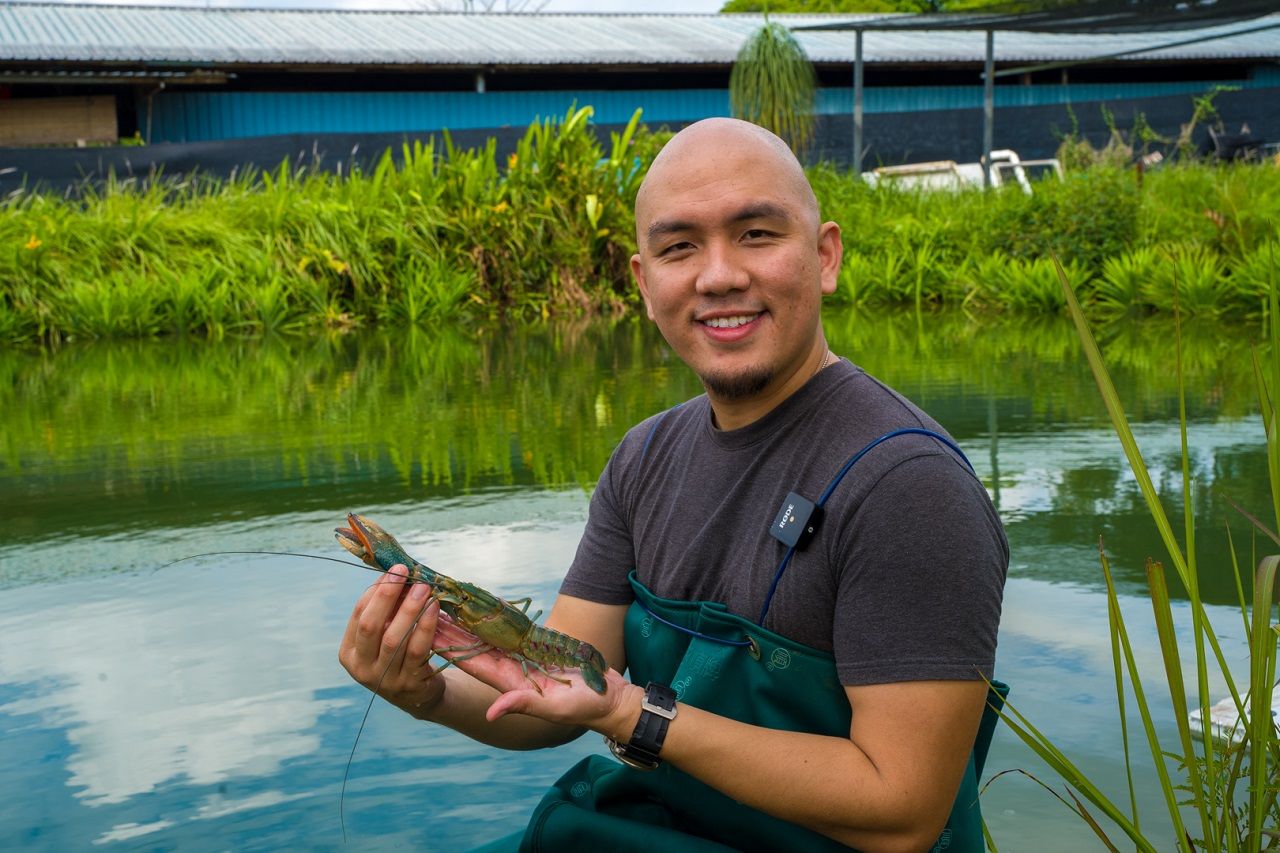 Datuk Desmond Chow ผู้ก่อตั้ง Singapore Crawfish นำนวัตกรรมมาใช้เพื่อการเพาะเลี้ยงกุ้งเครย์ฟิชอย่างยั่งยืนพร้อมทั้งลดผลกระทบทางสิ่งแวดล้อม ภาพจาก Singapore Crawfish