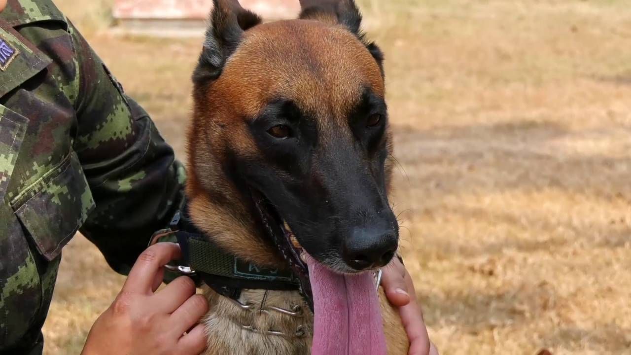 เจ้าหน้าที่ 