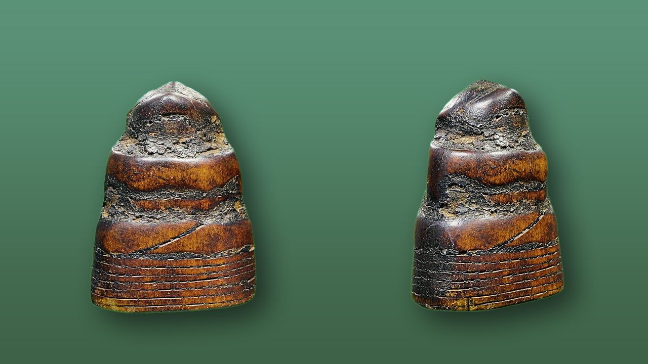 องคต ไม้แกะ หลวงพ่อปาน วัดบางกระสอบ ของทองกานต์ ศรีอิสรีย์.