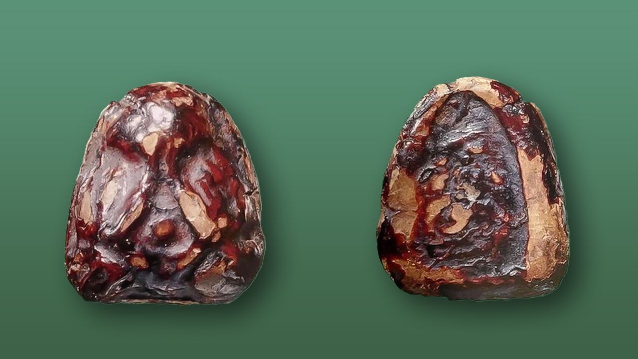 พระปิดตา เนื้อผงเคลือบรัก บรรจุกริ่ง พิมพ์โยงก้นเล็ก หลวงปู่เจียม วัดกำแพง ของนิธิศ นนท์วราเวช.