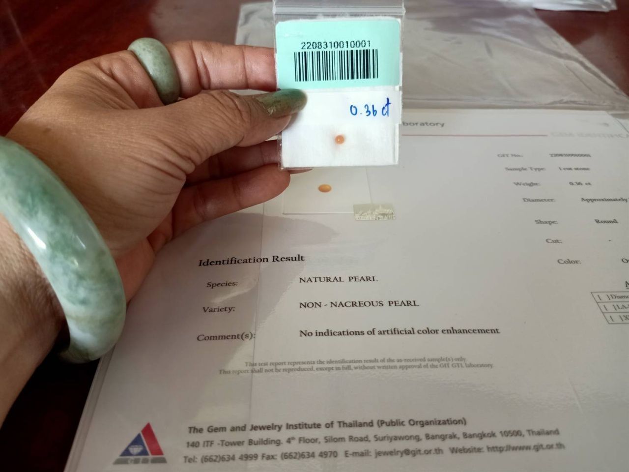 จิ๋วแต่แจ๋ว การรับรองว่า เจอในหอยน้ำจืดครั้ง