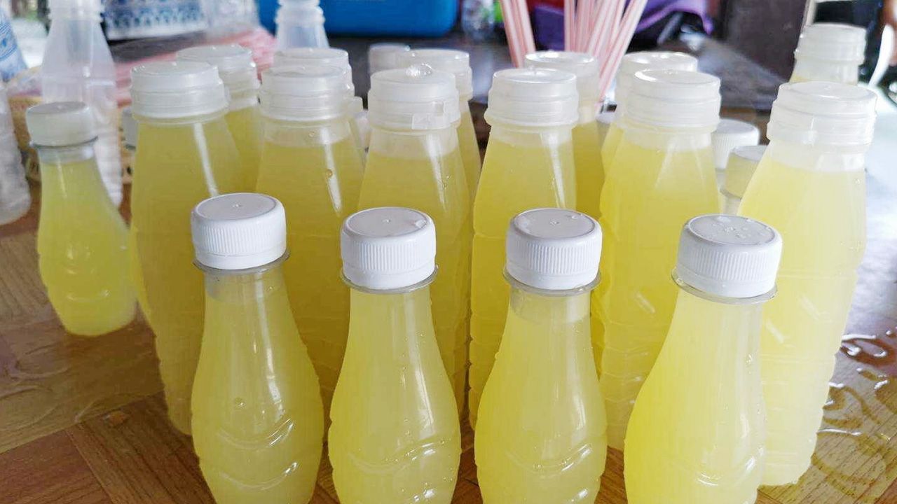 “กวก. สุพรรณบุรี 1” อ้อยคั้นน้ำพันธุ์ใหม่