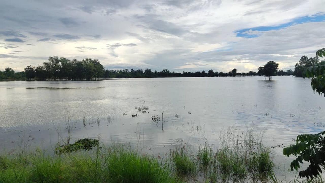 กรมข้าว ห่วงชาวนาเจอฝนตกหนัก 2-10 ส.ค.นี้ กำชับจนท.จับตาใกล้ชิด