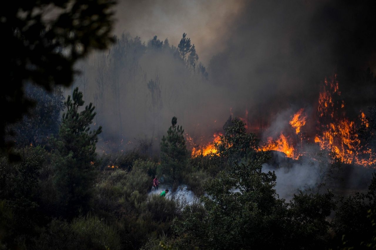ไฟไหม้ป่าในโปรตุเกส ท่ามกลางสถานการณ์คลื่นความร้อนแผ่ปกคลุม และภัยแล้งกำลังเล่นงานยุโรป