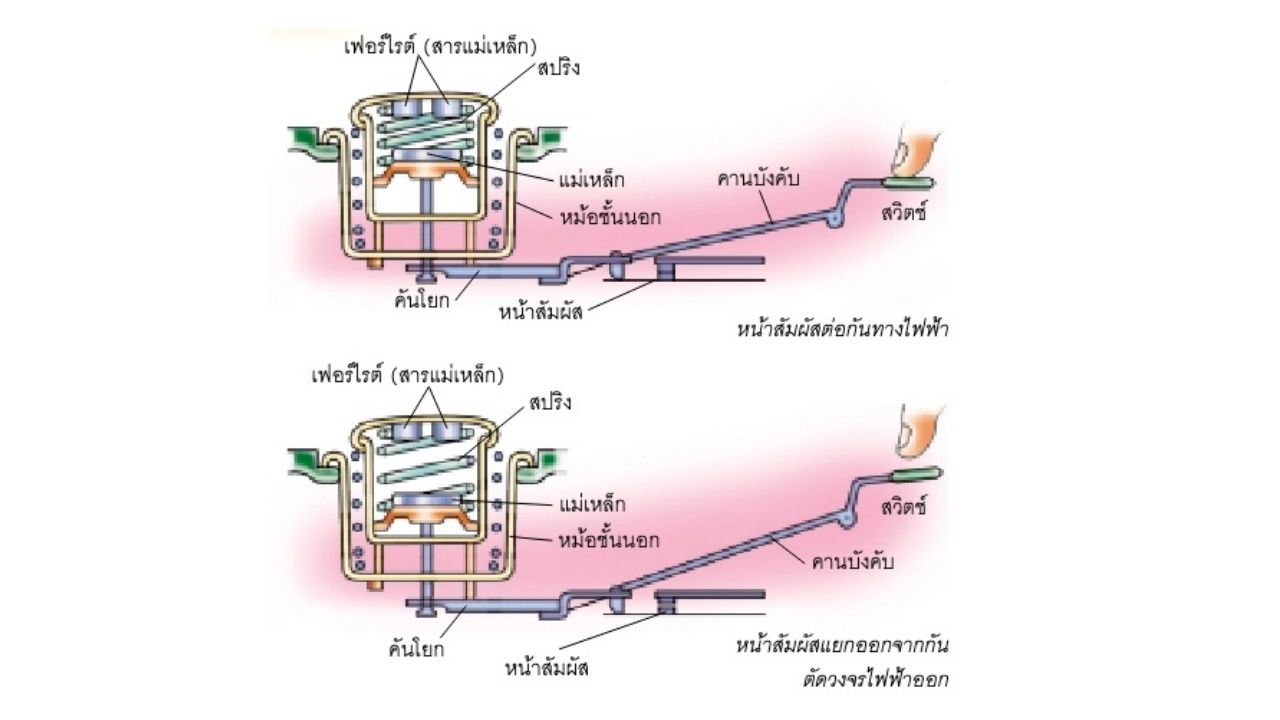 ภาพจาก : http://www.eppo.go.th/images/Infromation_service/Publication/Publication/Pubication_1/7.pdf
