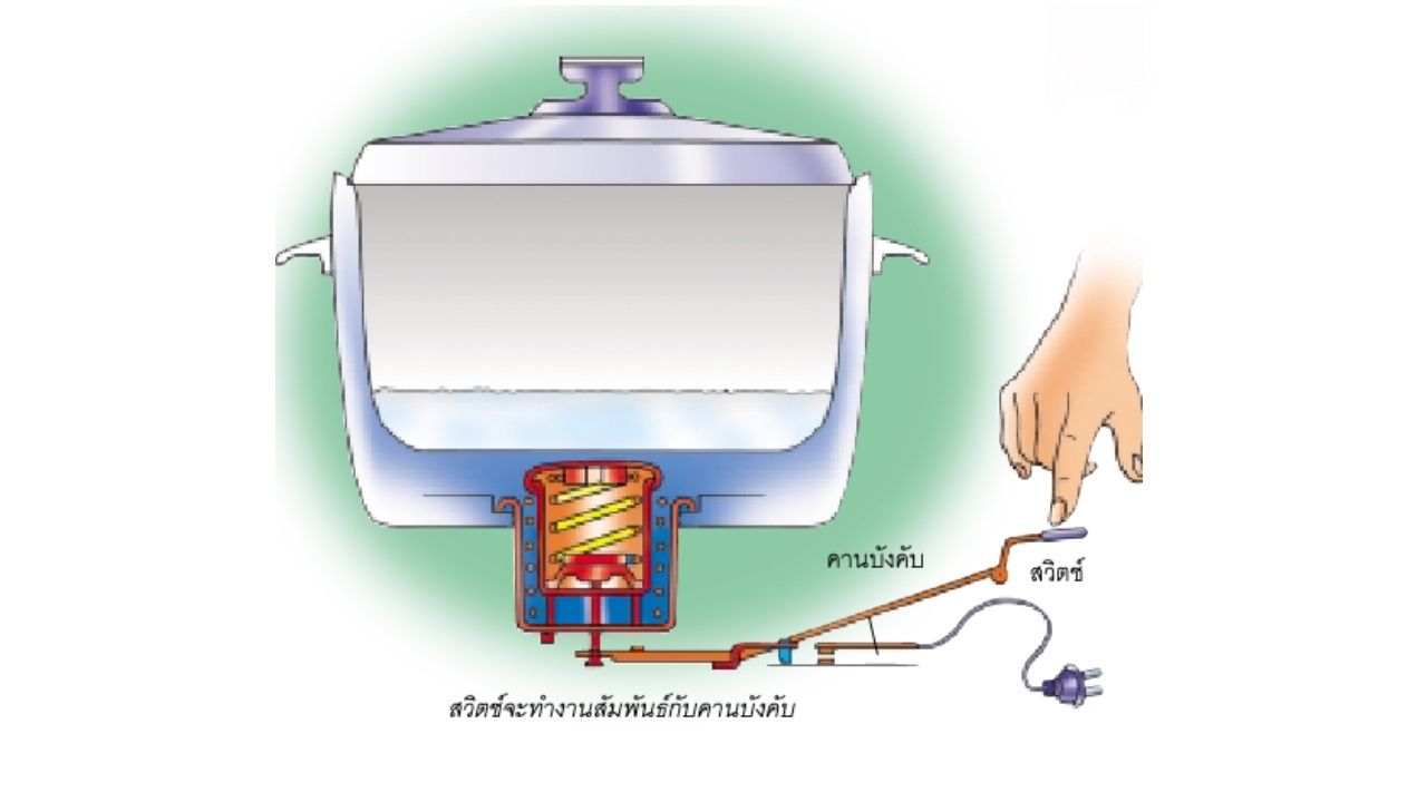 ภาพจาก : http://www.eppo.go.th/images/Infromation_service/Publication/Publication/Pubication_1/7.pdf