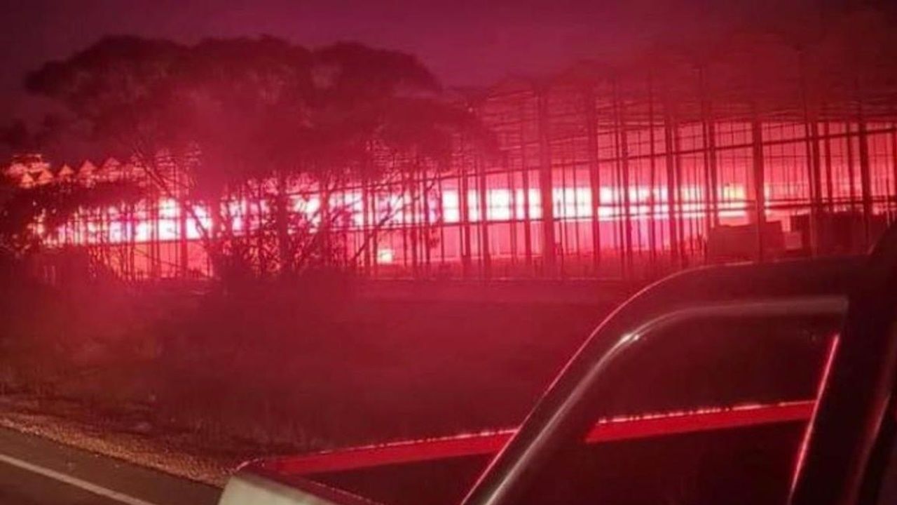 ภาพจาก Twitter / @Tim_Green78