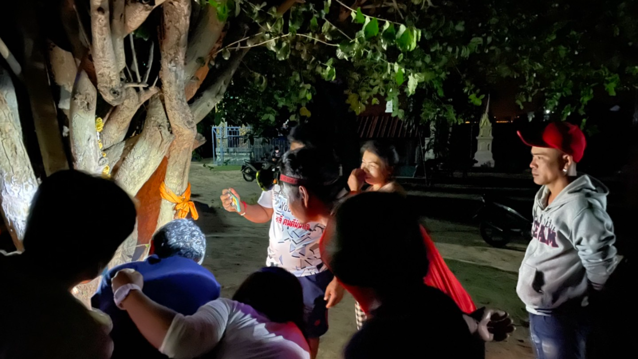 "ต้นข่อย" ให้โชค ถูกหวยรางวัลใหญ่ ฉายหนังแก้บน ชาวบ้านแห่ส่องเลขเด็ด