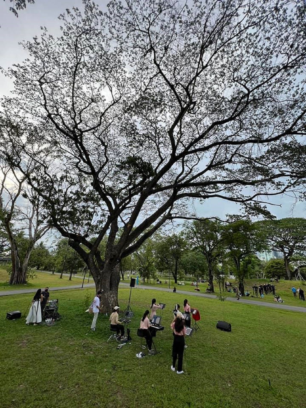 กิจกรรมดนตรีในสวนของกองทัพบก ภาพจาก กรมกิจการพลเรือนทหารบก