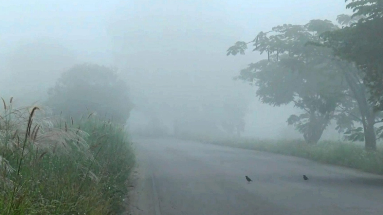 สภาพอากาศวันนี้ ตอนบนอุ่นขึ้น แต่เช้ายังหนาว อีสานเย็นสุด 12 องศาฯ