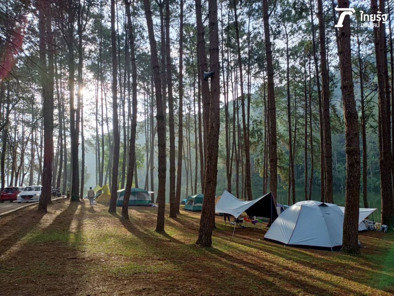 บรรยากาศที่พักปางอุ๋งในม่านหมอกที่ดูนุ่มนวล