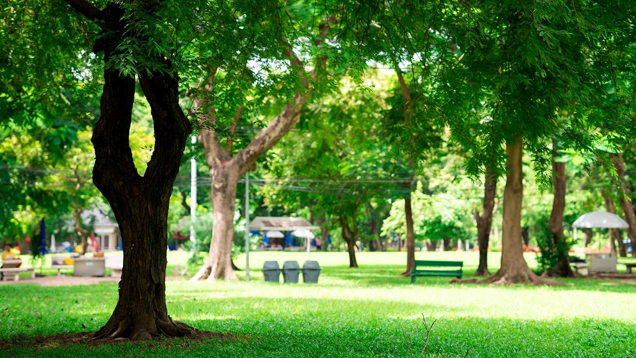 วางแผนดนตรีในสวนปี 66 จัดแสดง 12 สวน 208 วง 52 สัปดาห์งบ 7.3 ล้าน