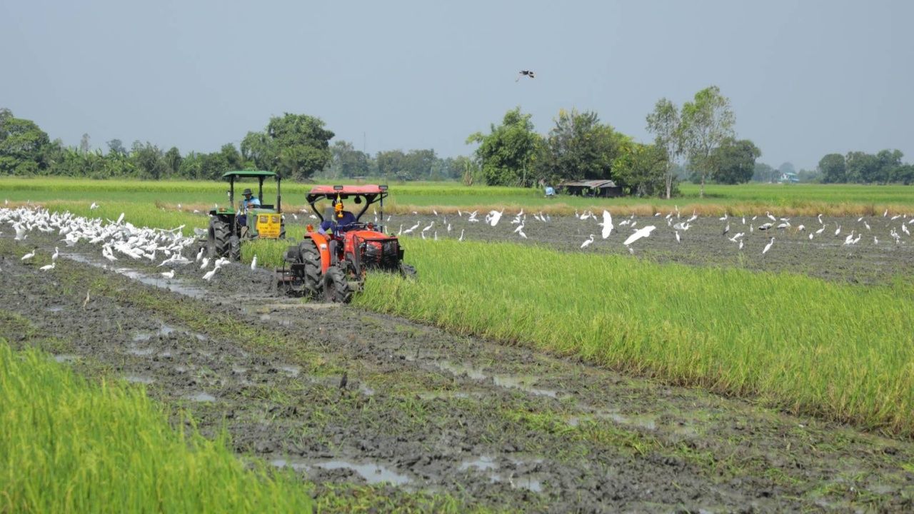 เกษตรกร Smart Farmer เผย 4 เทคนิคทำนาสมัยใหม่ ได้เงินเพิ่มเร็ว