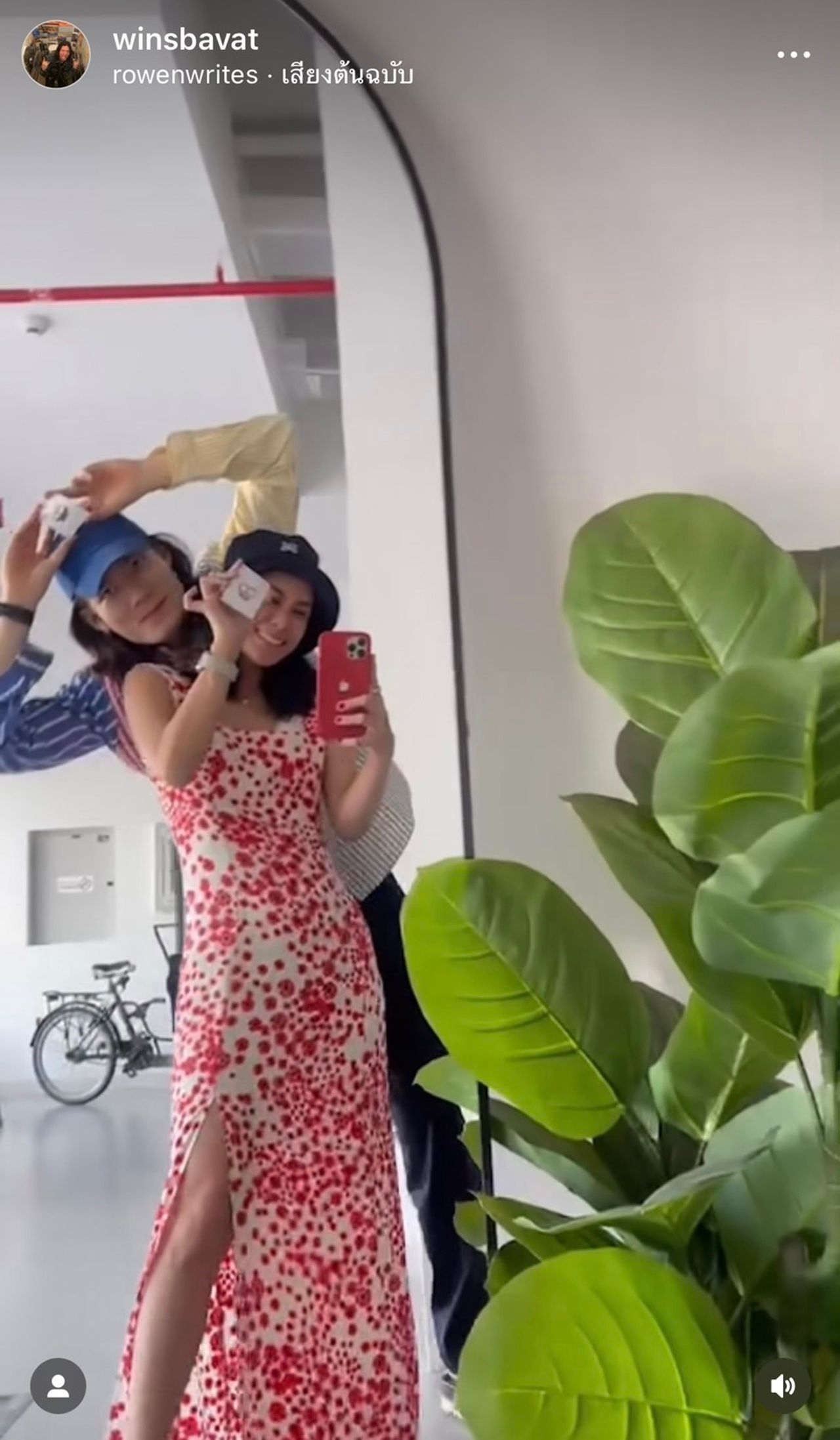 มัดหมี่ วิน 