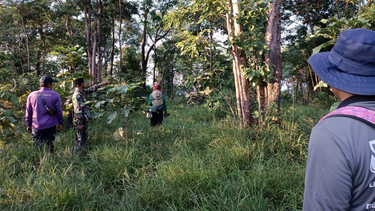อุทยานฯ ทับลาน ระดมกำลังผลักดันช้างโขลงใหญ่ 50 ตัว กลับป่าให้ห่างชุมชน