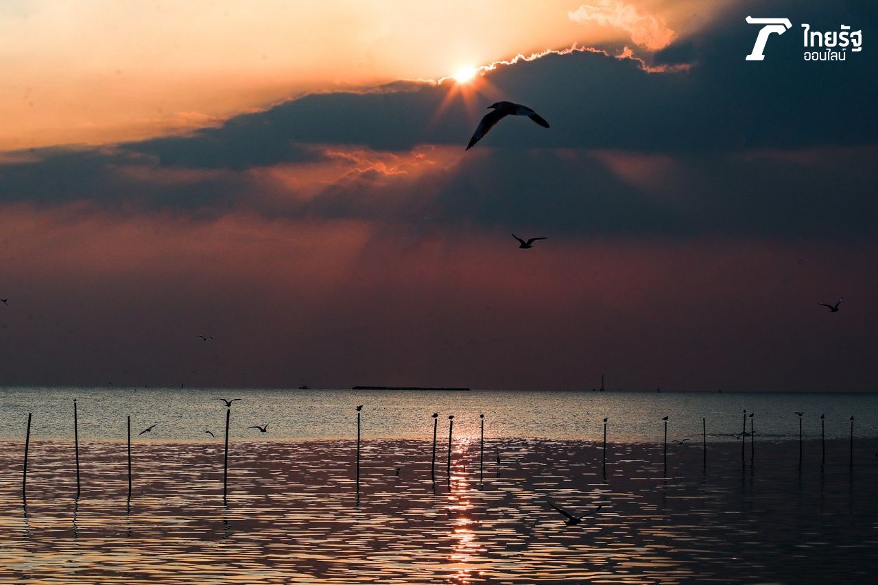 บรรยากาศพระอาทิตย์ตกยามเย็นเป็นอีกหนึ่งไฮไลต์ของสถานตากอากาศบางปูไม่แพ้การชมนกนางนวล