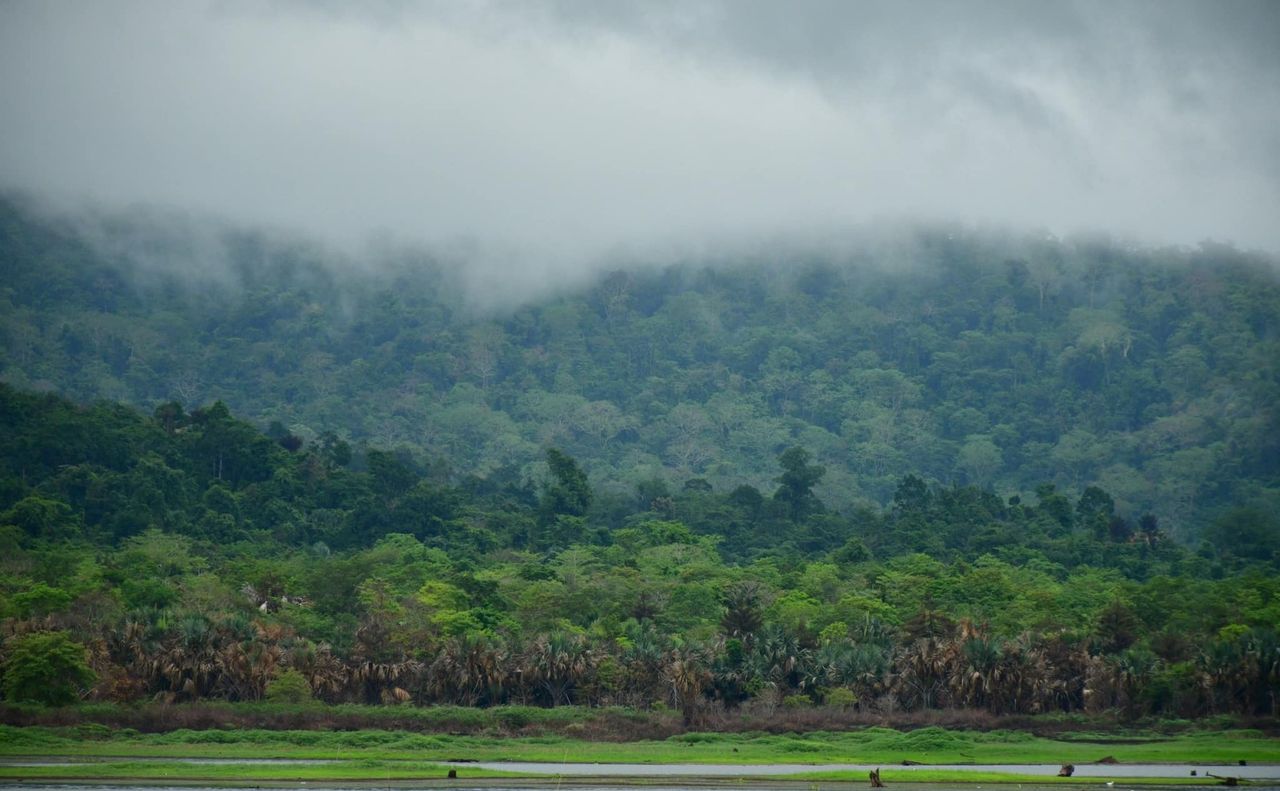 เครดิตภาพ : อุทยานแห่งชาติทับลาน - Thap Lan National Park