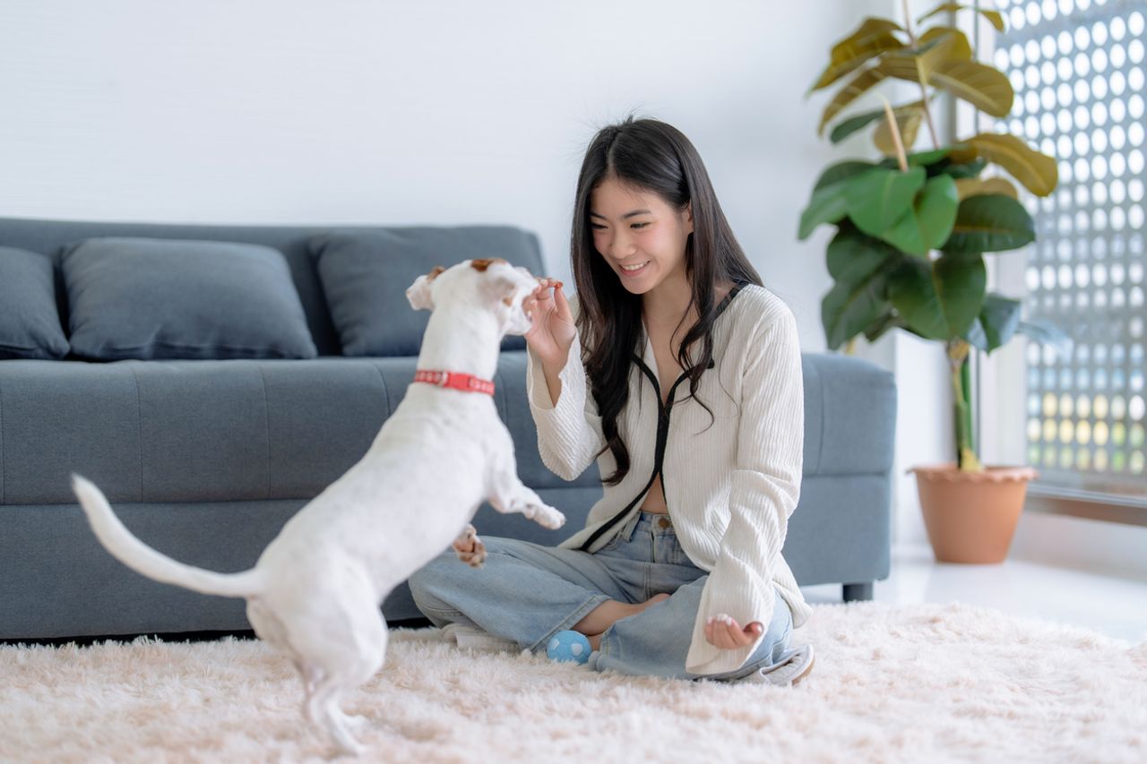 ภาพจาก iStock 