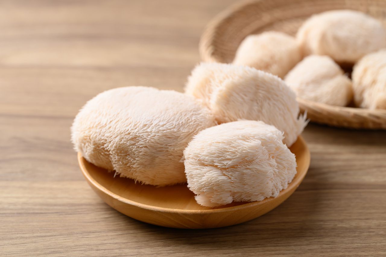 เห็ดแผงคอสิงโต  (ภาพจาก iStock)