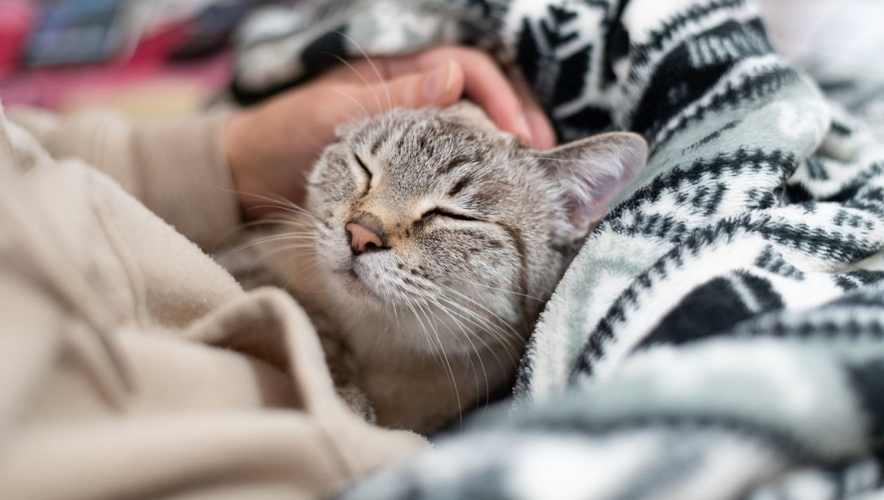 ภาพจาก iStock 