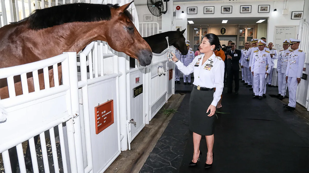 สมเด็จพระเจ้าลูกเธอ เจ้าฟ้าสิริวัณณวรี นารีรัตนราชกัญญา เสด็จไปทรงบำเพ็ญพระกุศล เนื่องในวันคล้ายวันสถาปนาหน่วยม้าทรงประจำพระองค์ ครบรอบปีที่ 25 และทรงวางศิลาฤกษ์โรงฝึกขี่ม้าหลังคาปิด FURST HENRY ณ โรงฝึกขี่ม้าหลังคาปิด หน่วยม้าทรงประจำพระองค์ กองพลทหารม้าที่ 2 รักษาพระองค์ เมื่อวันที่ 5 พฤษภาคม.