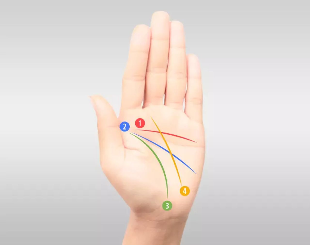 ดูลายมือจากเส้นทั้งสี่