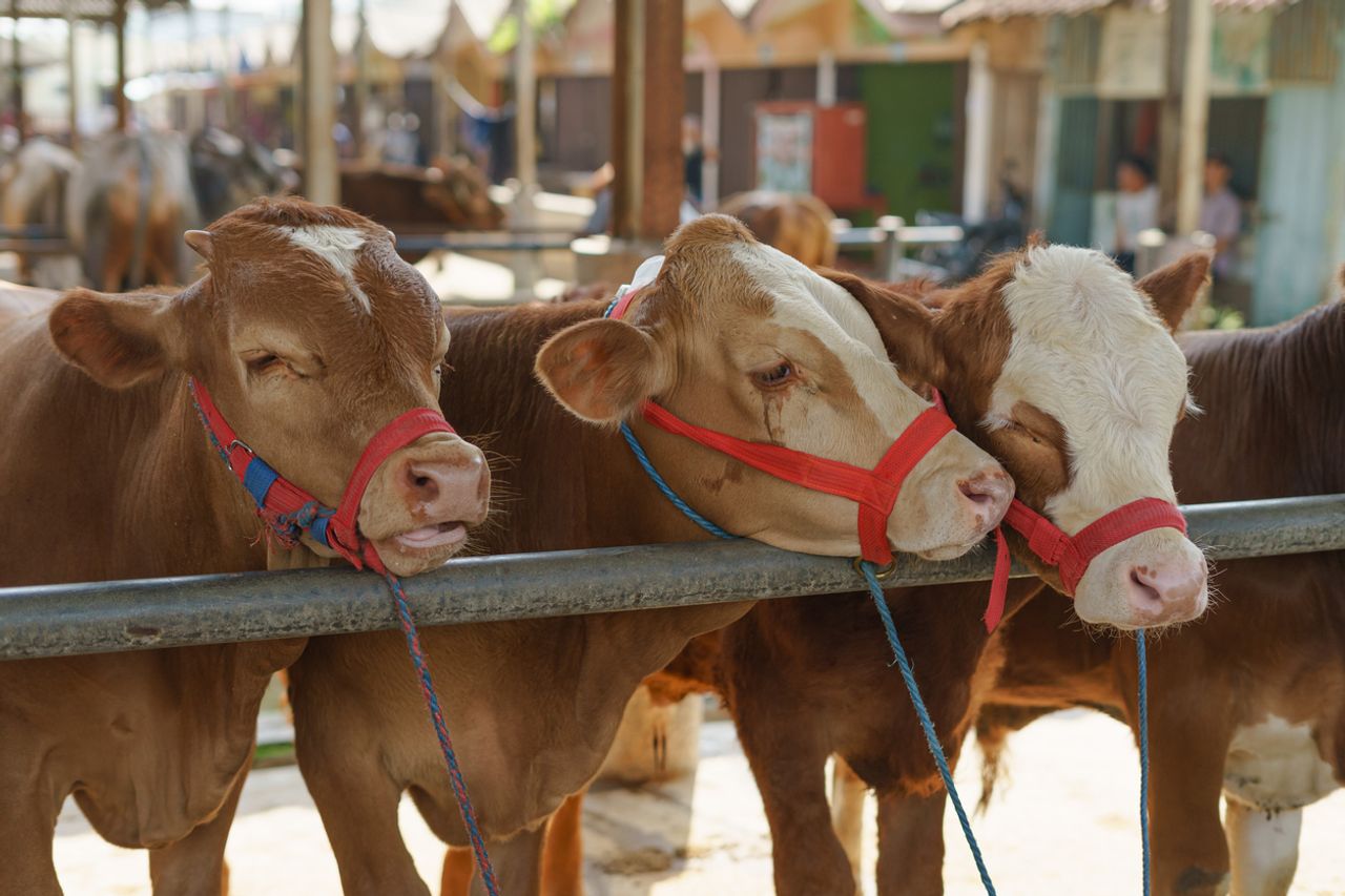 ภาพจาก iStock