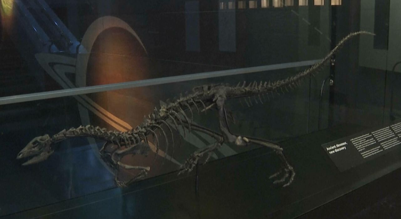 ภาพ : NATURAL HISTORY MUSEUM