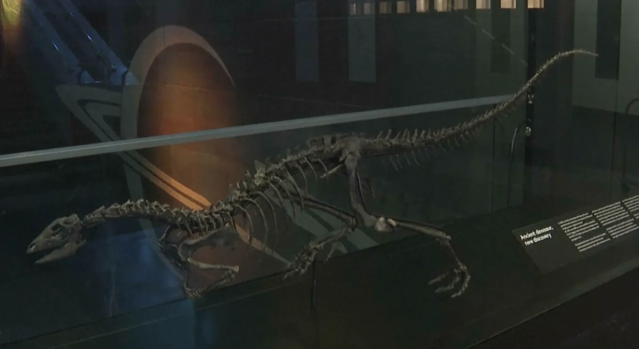 ภาพ : NATURAL HISTORY MUSEUM