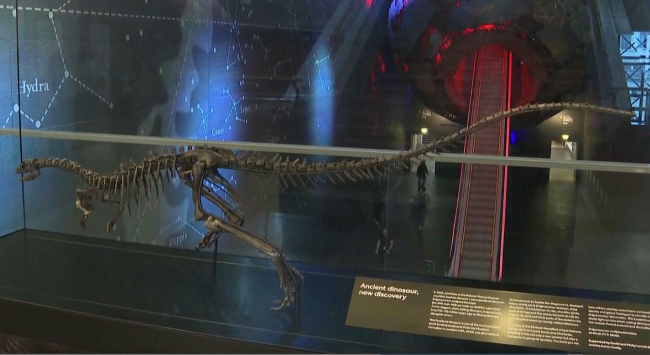 ภาพ : NATURAL HISTORY MUSEUM