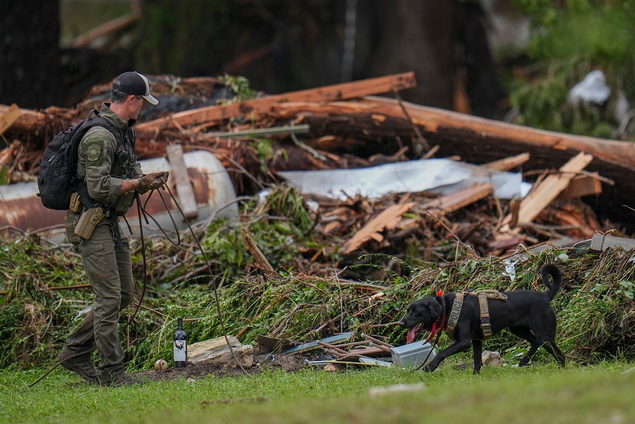 เจ้าหน้าที่ใช้สุนัขดมกลิ่นค้นหาผู้สูญหาย ที่เมืองฮันต์ ใกล้แม่น้ำกัวดาลูเป
