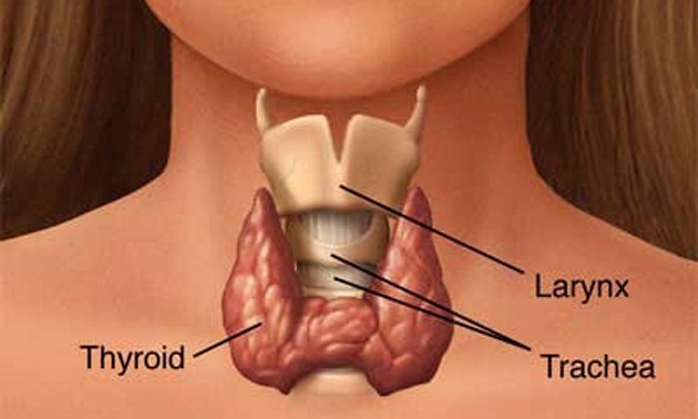 หลากหลายโรคภัยเรื่องไทรอยด์