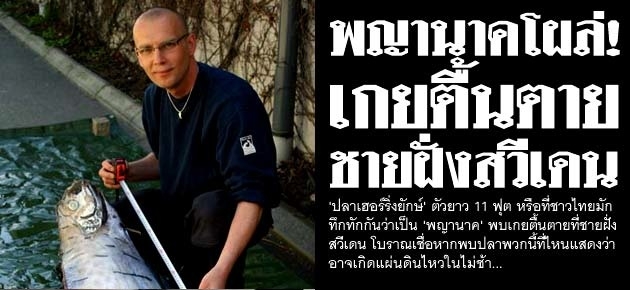 พญานาคโผล่! เกยตื้นตาย ชายฝั่งสวีเดน