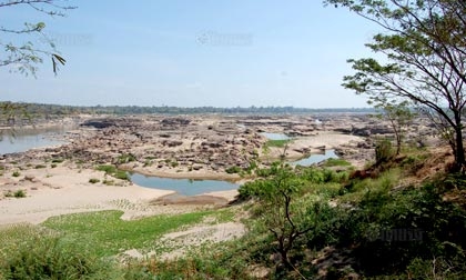 โคราชวิกฤติน้ำเหือดแห้งประกาศภัยพิบัติ28อำเภอ  