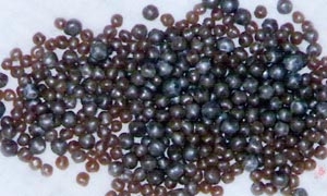 เหล้าช่วยป้องกันเป็นนิ่ว หากแต่ต้องดื่มขนาดอย่างสัณฐานประมาณ