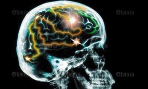 เจาะลึกสมองของฆาตกรพวกข่มขืนแล้วฆ่า ผิดกับของคนธรรมดา  