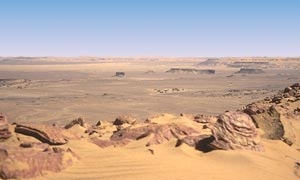 อุณหภูมิโลกร้อนให้คุณ ทะเลทรายสะฮาราชักเริ่มมีต้นไม้สีเขียว