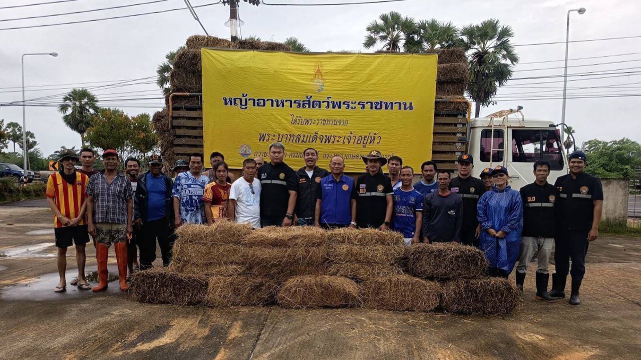 กรมปศุสัตว์ช่วยฟื้นฟูเกษตรกร 9 จังหวัดภาคใต้ หลังอุทกภัย