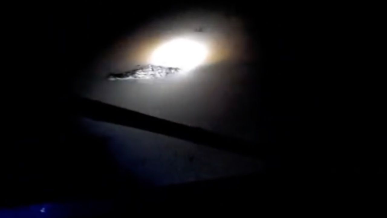 ชาวหาดใหญ่หวาดผวา พบจระเข้ลอยใกล้หลังคาบ้านกลางน้ำท่วม