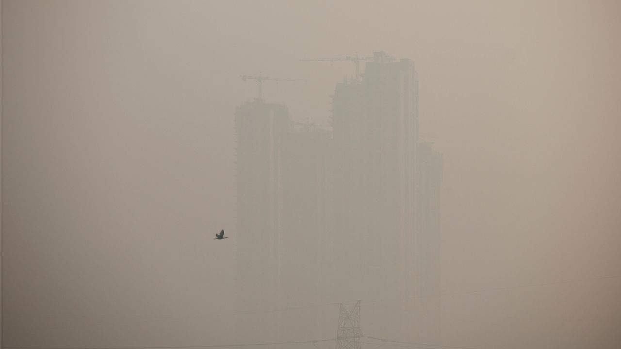 กรุงเดลีประสบปัญหามลพิษทำให้ผู้ป่วยโรคทางเดินหายใจเฉียบพลันเพิ่มขึ้น 200,000 รายใน 3 ปี