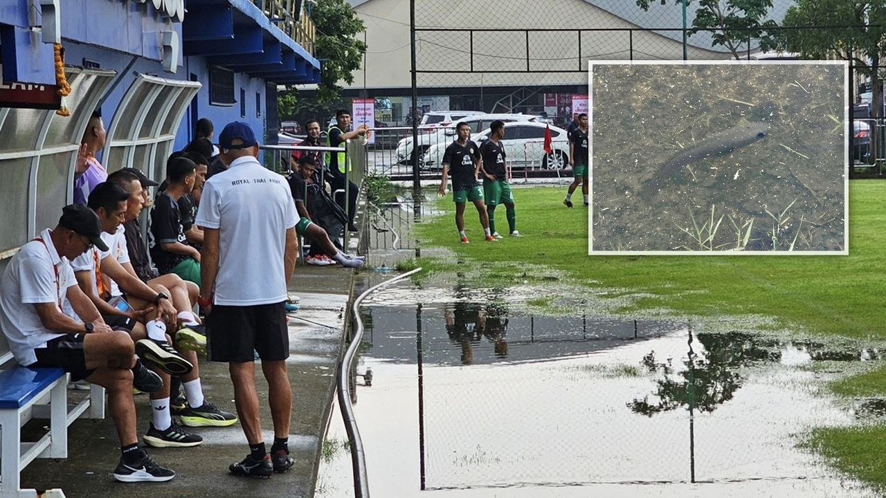มาจากไหน "ปลาช่อน" โผล่สนามบอล ก่อนยกเลิกคู่ "ทหารบก-สมุทรสงคราม" เพราะฝนตกหนัก แข่งไม่ได้