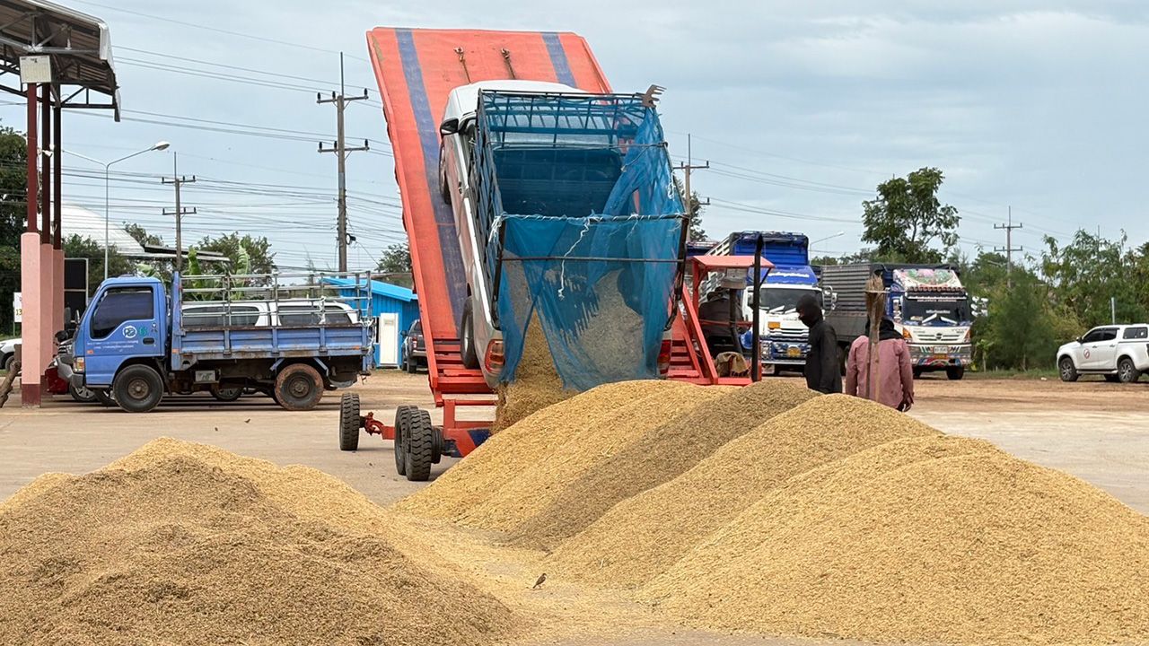 ตลาดข้าวฟื้นตัว ราคาข้าวหอมพุ่งแตะ 16,000 บาทต่อตัน