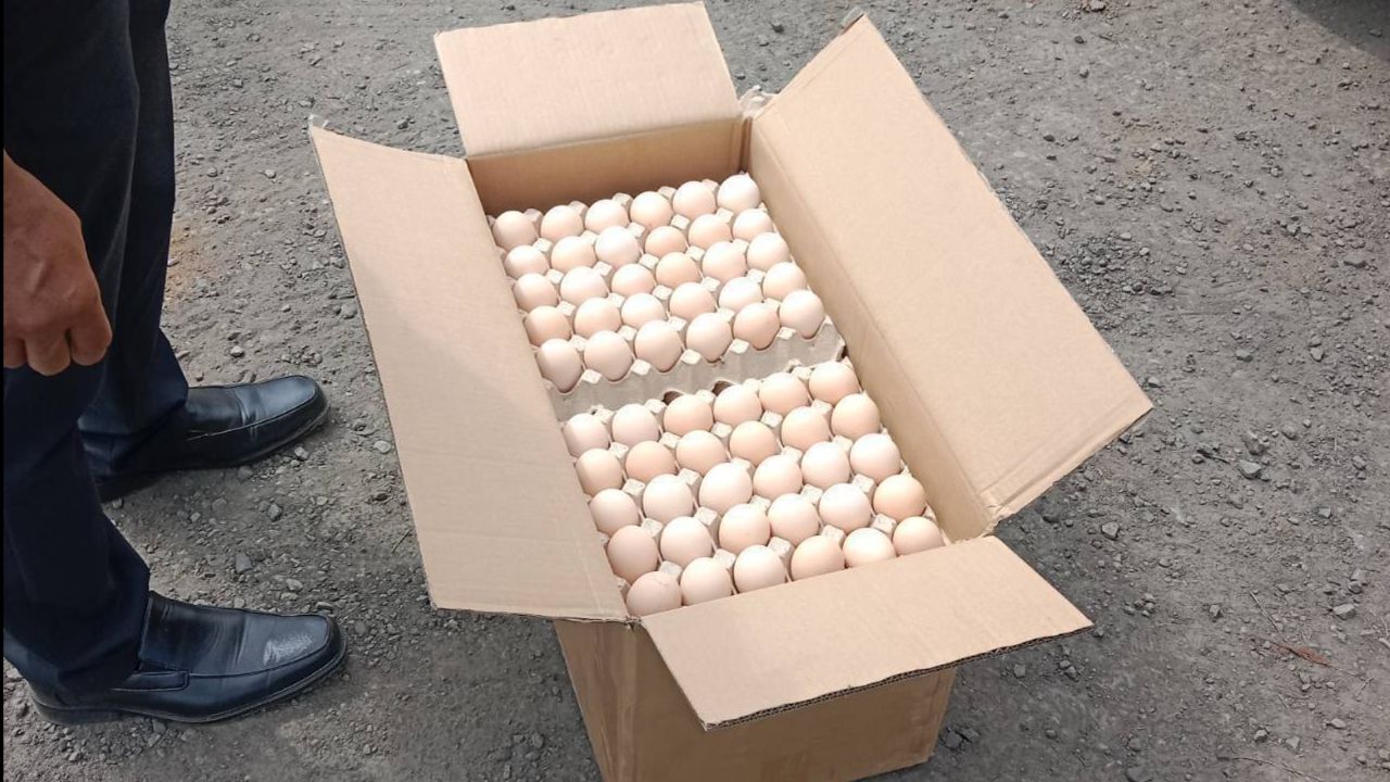 ตำรวจจับไข่ไก่มีเชื้อจากต่างประเทศ 3.5 แสนฟอง เสี่ยงการแพร่ระบาด