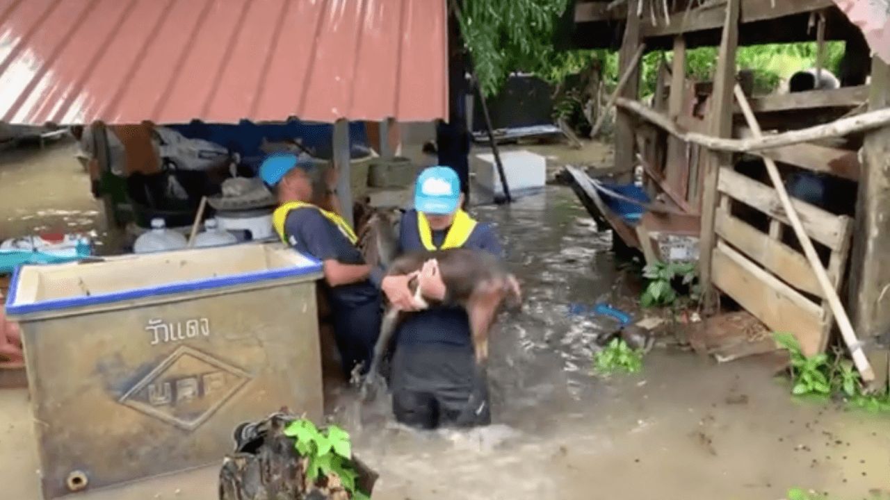 น้ำท่วมหนักสุดในรอบ 50 ปีที่ละงู สตูล