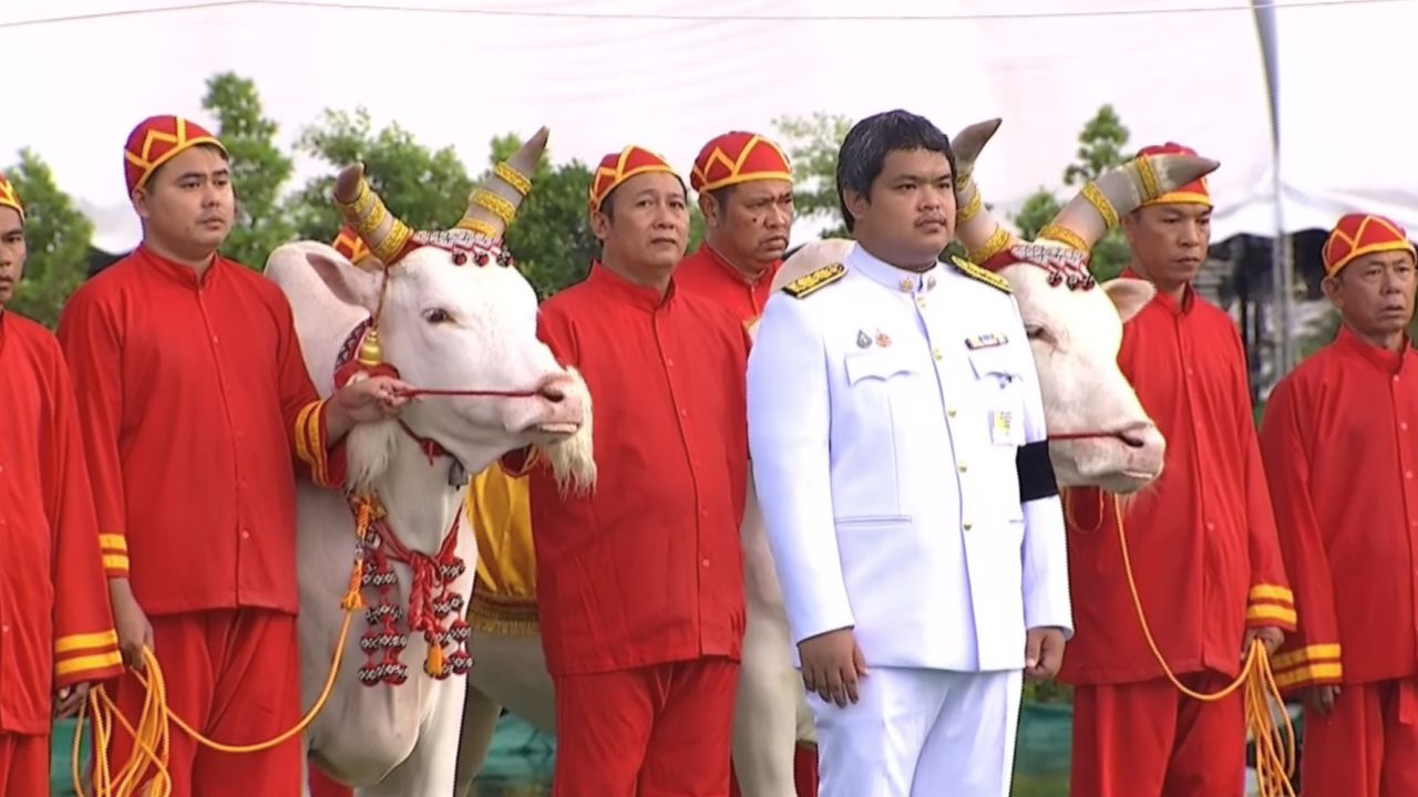 เช้านี้ชุ่มฉ่ำ ฝนตกโปรยปราย “วันพืชมงคล 2569” พระราชพิธีจรดพระนังคัลแรกนาขวัญ