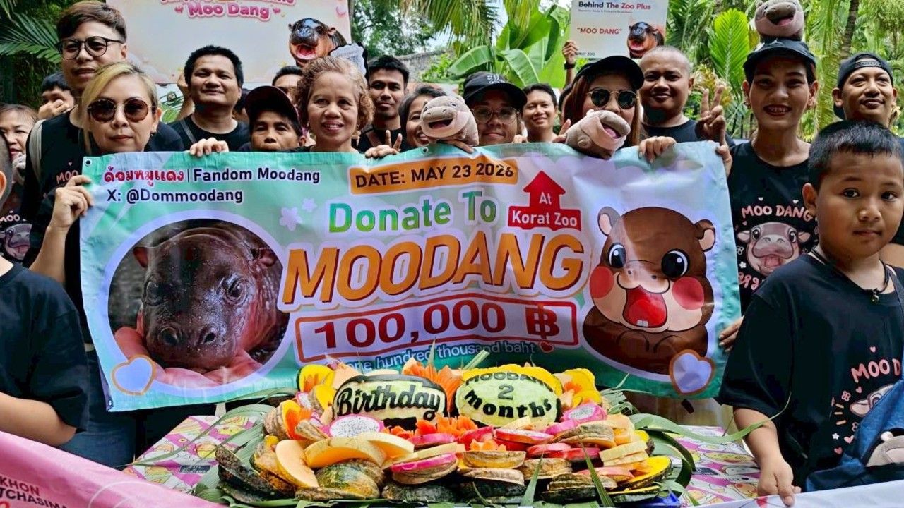 สวนสัตว์โคราช ฉลอง 37 ปี แฟนคลับ “ด้อมหมูแดง” หอบเงินแสนรับขวัญ สมทบทุนสวัสดิภาพสัตว์