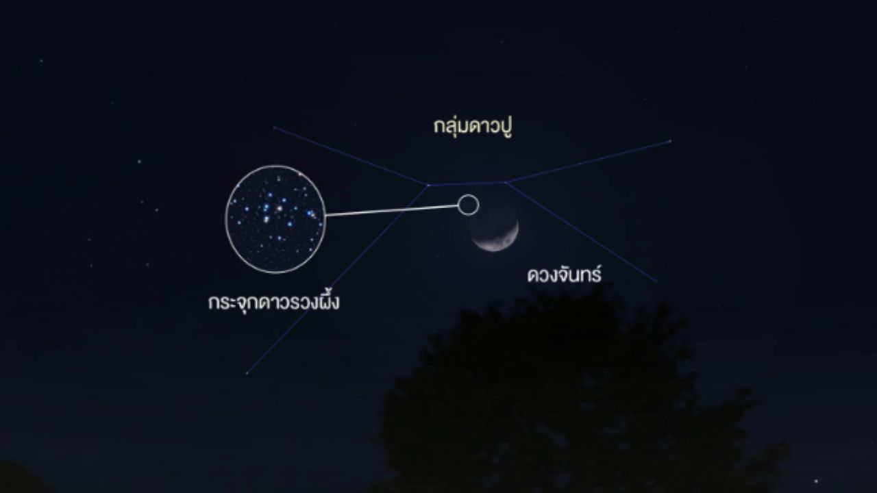 4 ทุ่มคืนนี้ ชวนดู 