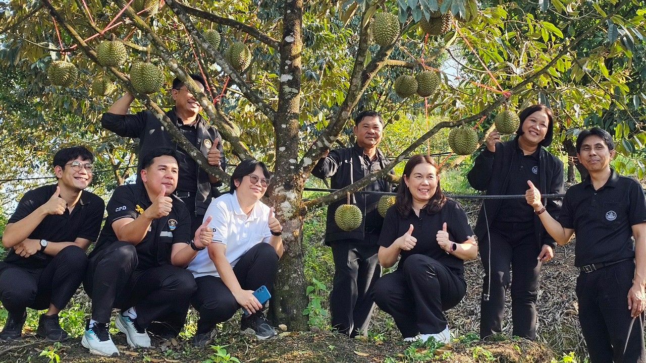 กรมส่งเสริมสหกรณ์ เผย 4 มาตรการรับมือผลไม้ปี 2569 ดันสินค้า GI สู่โมเดิร์นเทรด