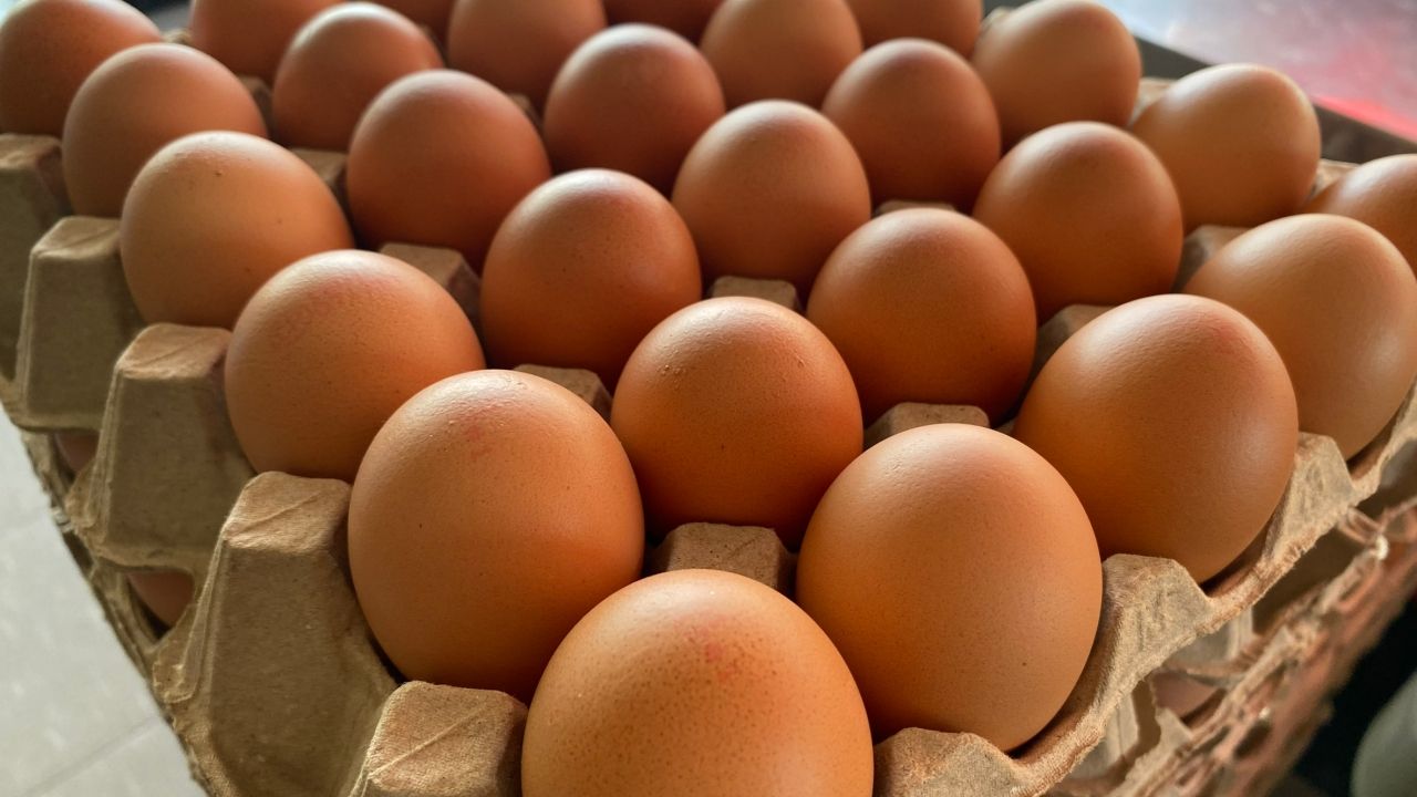 กำแพงเพชร เตรียมปรับราคาไข่ไก่เพิ่ม 5 บาท ตามกลไกตลาด